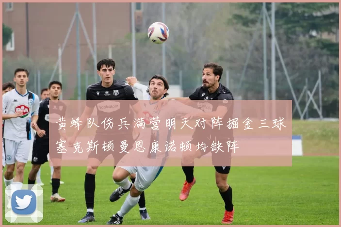 黄蜂队伤兵满营明天对阵掘金三球塞克斯顿曼恩康诺顿均缺阵