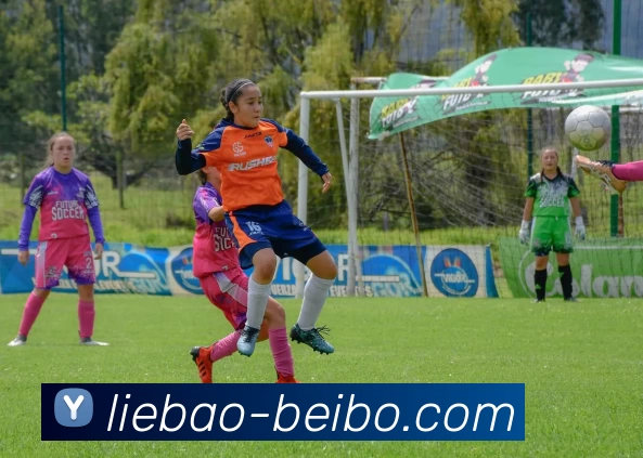 贝博体育服务体系